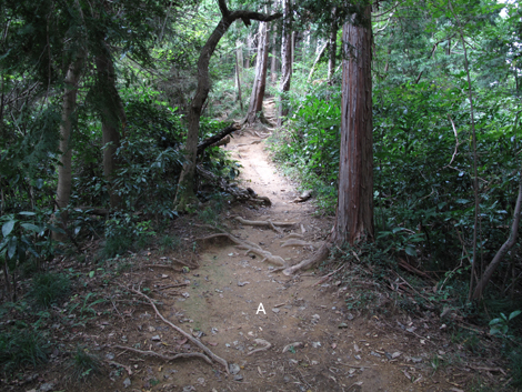 20171005hike (50)